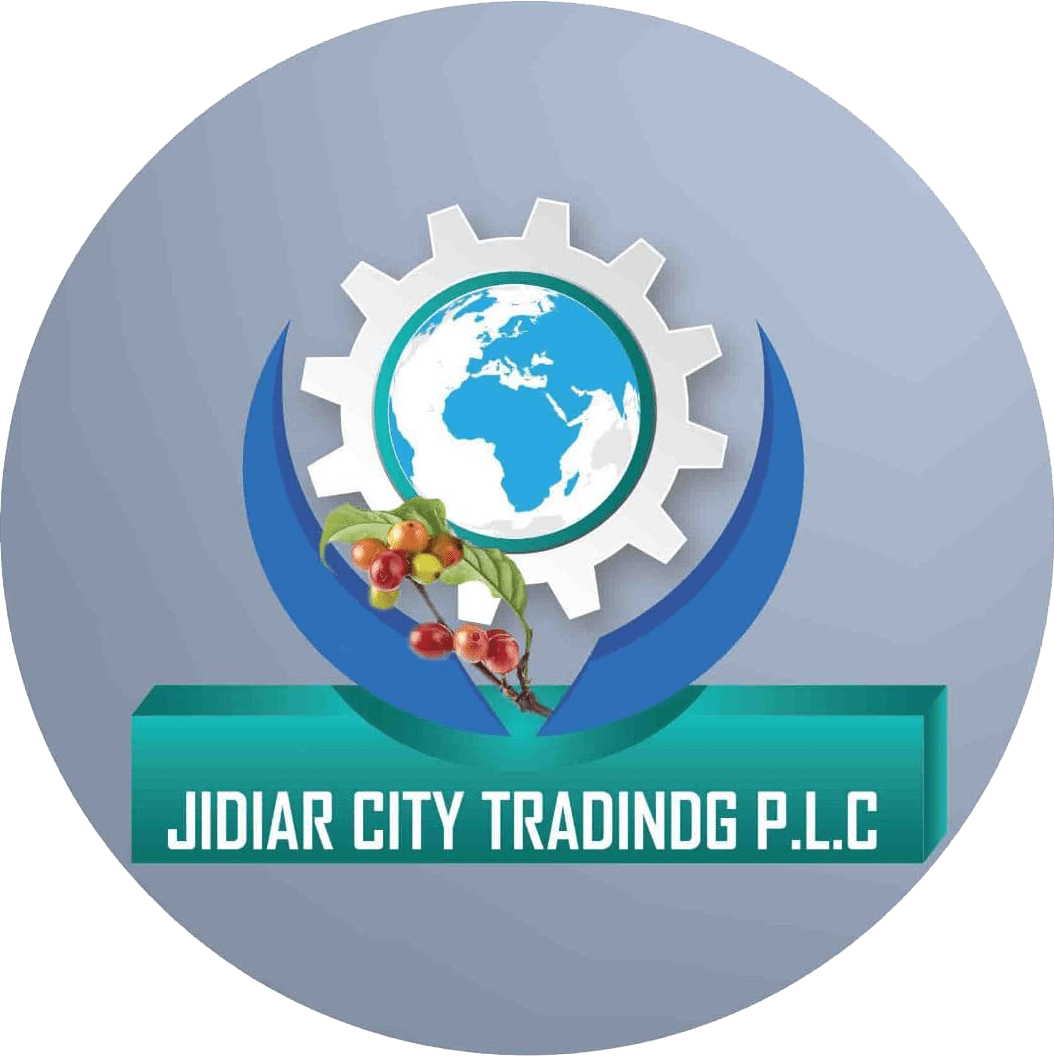 Jidiar City Trading P.L.C original logo